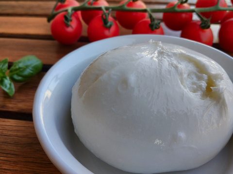 burrata