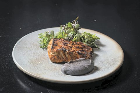 salmon