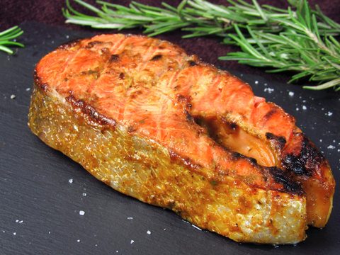 salmon